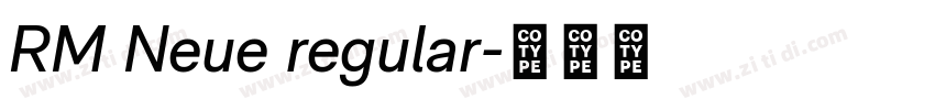 RM Neue regular字体转换